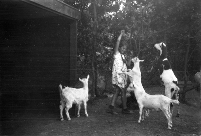 805433 Afbeelding van de jonge Mary Balfour van Burleigh bij enkele geiten in Ouwehands Dierenpark aan de Grebbeweg te ...